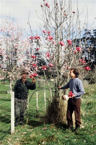 A considerably younger Mark and the now deceased Felix look at an early flowering on Vulcan™