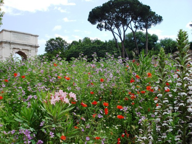 Serendipity at the Palatine in Rome