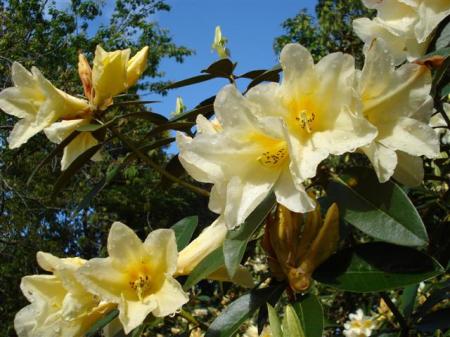 Barbara Jury1 Barbara Jury1