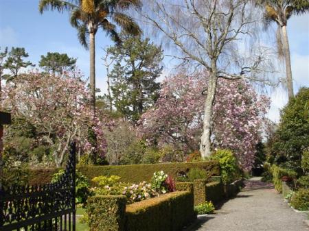 The original Iolanthe this morning