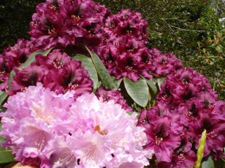 DSC01930 (Small) DSC01930 (Small)