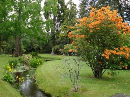 Create space around individual plants to avoid an overgrown, unkempt look