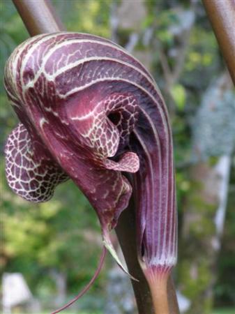 October 27 2009 001 (Small)