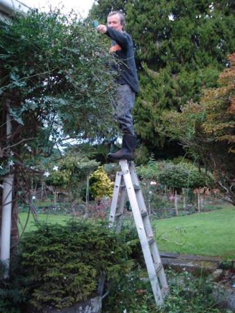 Maybe best not to follow Mark's example