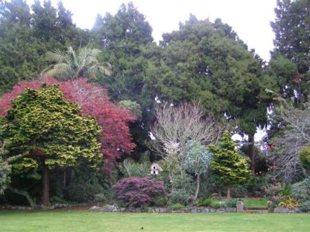 Rimu trees from 1880 in the background, mixed plantings from 1950 to now in the middle ground