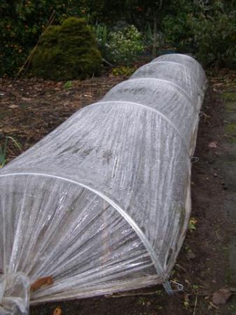 The cloche, not as Spike the dog briefly thought, a dog agility tunnel