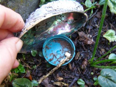 The low tech slug bait station