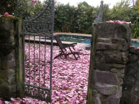 Magnolia Serene by the pool, 2009