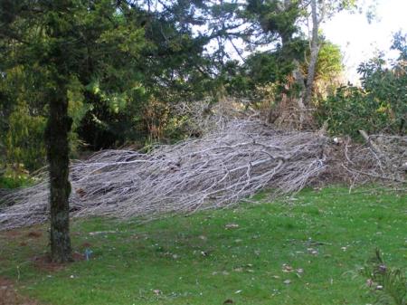 Eighty feet of fallen Lombardy