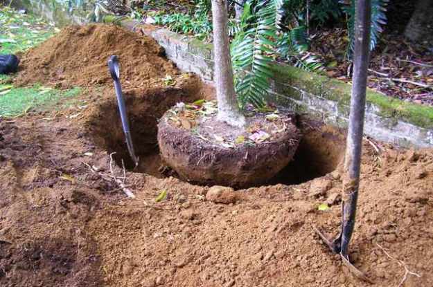 ??????????????????????