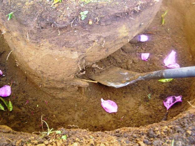 ???????????????????????????????