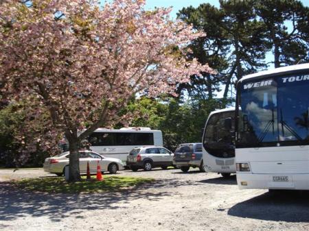 Parking can be a mission during Festival