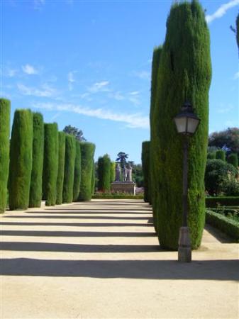 Shadows add another dimension in a country of unrelenting sunshine