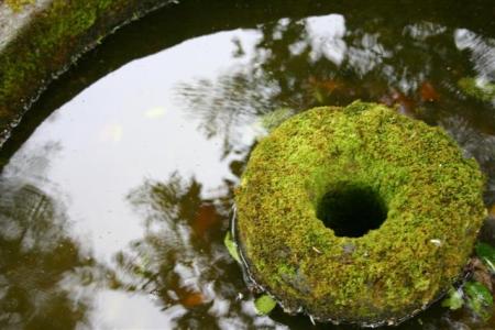 The simplest type of water feature - in this case a stone millwheel with a bung in the base so it can be drained and refilled easily
