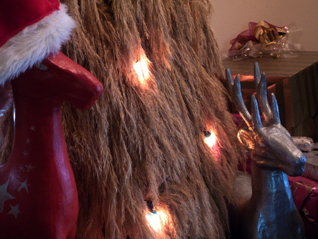 Kevin, Sharon and our Christmas tree Kevin, Sharon and our Christmas tree