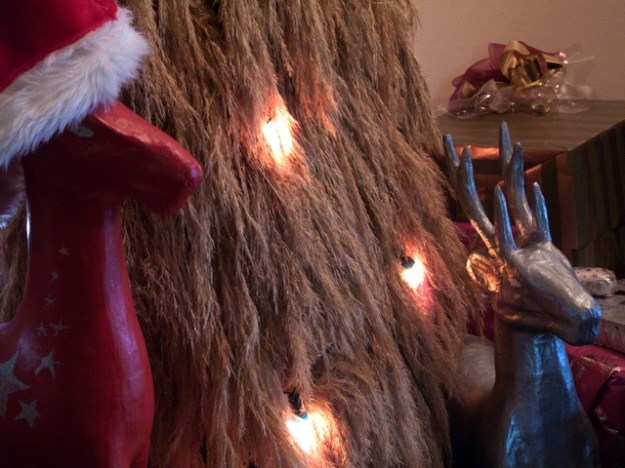 Kevin, Sharon and our Christmas tree