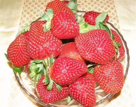 Alas, not from our garden