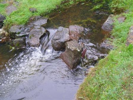 It may be a natural stream in our park but it is hardly an easy care water feature