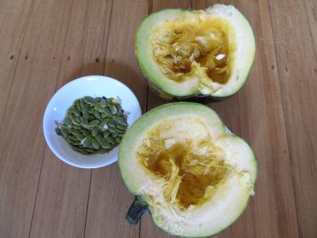Rather too high a ratio of barely edible pumpkin to seed yield