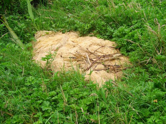 Altogether too reminiscent of a dead sheep to a New Zealander, alas