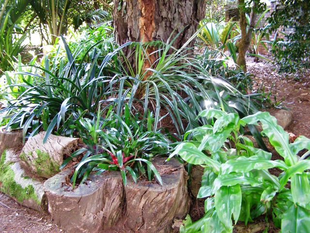 Raised beds can be desirable, but not in tanalised timber