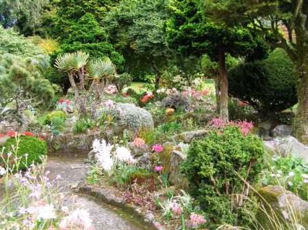 The rockery in autumn