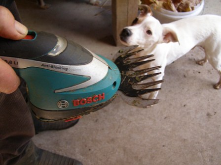Mark covets the neighbour's wife's toy - her Bosch trimmer