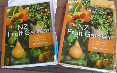 The first version to the left, the revised edition to the right.