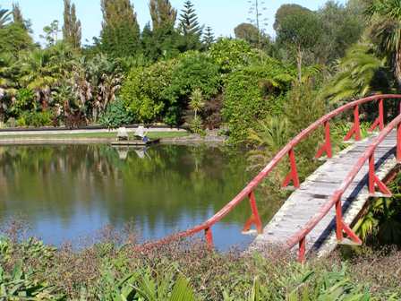 Turning plant collections into a garden - Paloma