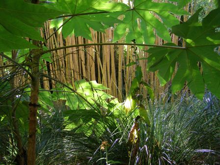 The combination of foliage and colours brings life to the Bamboo Forest