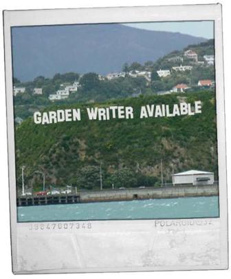 Says it all, really, though the joke of the setting will only be understood by New Zealanders