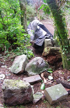 Repairing the stone wall (a pine tree fell on this section some years ago)