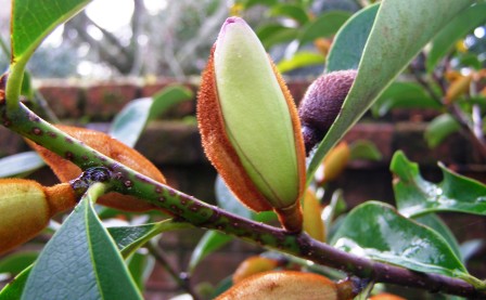 A one-off opportunity