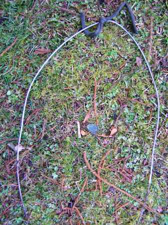 Using a simple wire hoop to tie down the long rose whips
