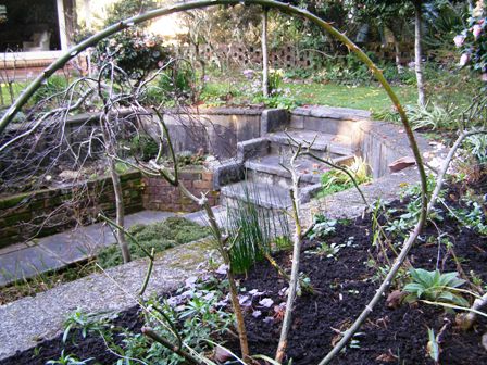 Hooping the roses to maximise flowering this season