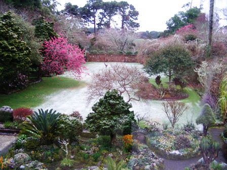 Snow, not frost, in the front garden