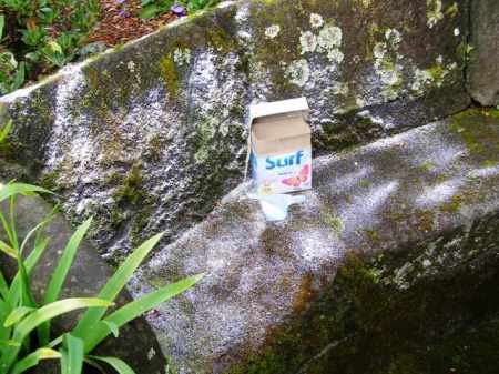 An easy method of killing unwanted moss 