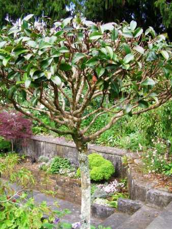 ... and immediately after