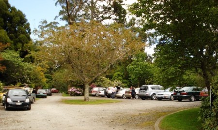 A welcome sight perhaps, carloads of garden visitors, but by no means a certainty