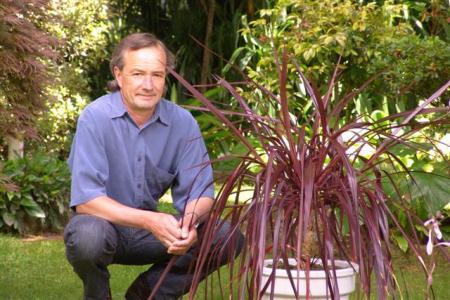 Cordyline Red Fountain and Mark Jury