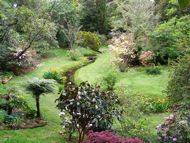 We are hoping the next garden fashion may be the revival of romantic naturalism