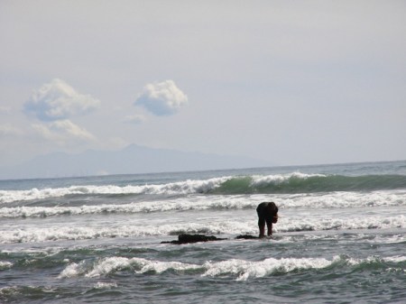 Mark, gathering dinner last Friday
