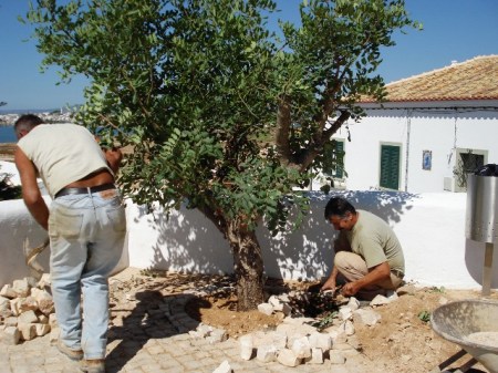 Gardening styles and plants  have evolved for very different conditions in the Med - this is Portugal