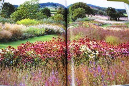 Early view of the Wisley Oudolf borders before the glasshouse was built (from Penelope Hobhouse's book "In Search of Paradise" - magic