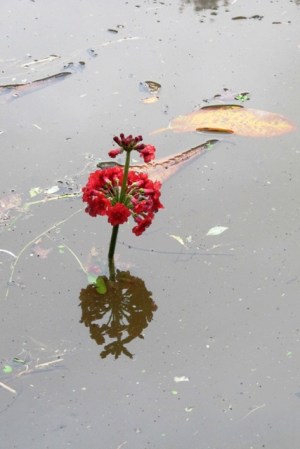 It rained heavily earlier in the week - very heavily