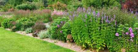 We were entranced by the Piet Oudolf borders at Wisley