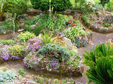 Ours is not a rockery for growing alpines