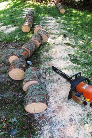 The clean up continues