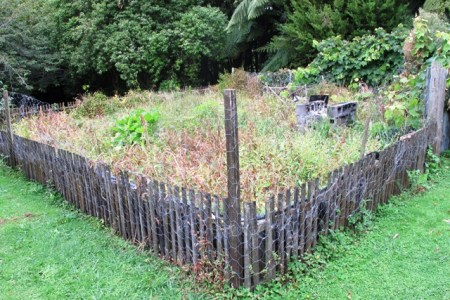 The designated vegetable garden needs clearing but is being retained