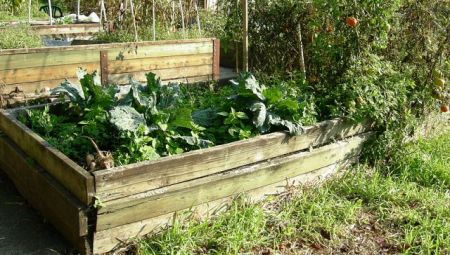 Raised beds have their place, but not necessarily every place (Photo Joe Mabel, Wikimedia Commons)